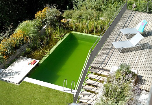 Au&szlig;enanlage mit Schwimmteich